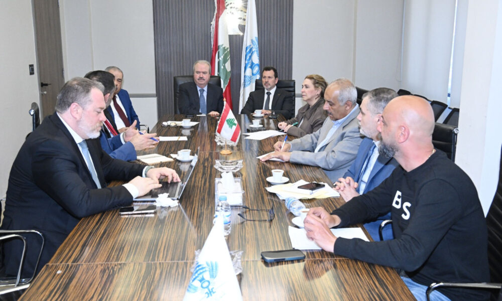 lebanon ministers meet visa over national digital payment platform
